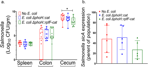 Figure 6. Recombinant production of c2-HDA by E. coli reduces Salmonella colonization of the chicken cecum. A. Chickens were administered recombinant E. coli expressing rpfF, the isogenic E. coli strain without rpfF, or a PBS control on days 1, 3, and 6 of life and were given a S. Enteritidis reporter strain (ΔphoN:BFP, sicA-GFP) on day 4 of life. On day 13, the spleen and contents of the cecum and colon were analyzed by selectively plating to determine the number of Salmonella present. The experiment was performed twice, each time with 6 chickens/group, for total n = 12. Median is shown by the central bar; boxes signify 25% and 75% quartiles, and vertical bars show the range. B. Contents of the cecum and colon were analyzed by flow cytometry to determine the proportion of the Salmonella population expressing sicA. Error bars show standard deviation (n = 5–6).