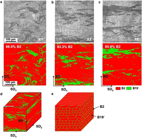 Figure 5. Distribution features of B2 and B19’ phases on three different cross-sections in LPBF-processed NiTi alloy sample: (a) XY section perpendicular to building direction (BD); (b) XZ section parallel to BD; (c) YZ section parallel to BD. X, Y and Z axials correspond to SDx, SDy and BD, respectively. The grey images are the band contrast images. (d) 3D mapping of phase distribution; (e) A schematic of the corresponding phase distribution and expanded microstructure configuration.