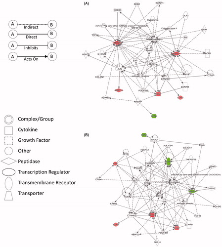 Figure 5. Primary protein networks obtained through ingenuity pathway analysis (IPA) of the fold change of plasma markers in the identified sub groups versus the control group (25th–75th percentile). (A) Network 1 depicting pathways related to cardiovascular disease (<25th percentile) and (B) Network 2 depicting pathways related to inflammatory response (>75th percentile). Red: up-regulation; Green: down-regulation.