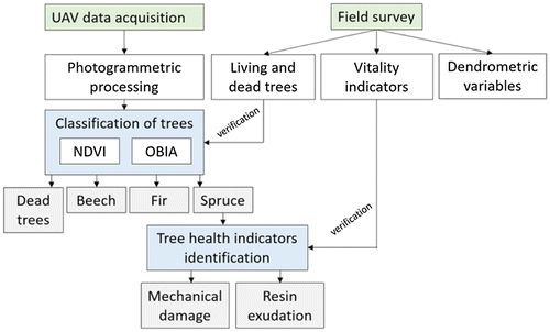 Figure 1. Framework of the study.