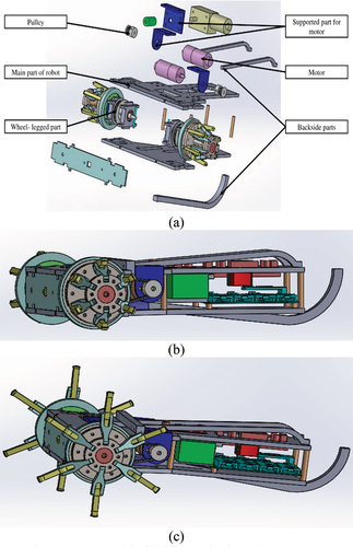Figure 12. 3D model of hybrid mechanism, (a) component assembly, (b) motion state in wheel mode and (c) motion state in leg mode.