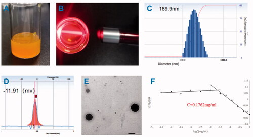 Figure 4. Appearance. (A) characterization of DPC@Cel micelles. (B) Tyndall effect of DPC@Cel in water, (C) particle size diagram, (D) and zeta potential, (E) the TEM picture, (F) critical micelle concentration of DPC.