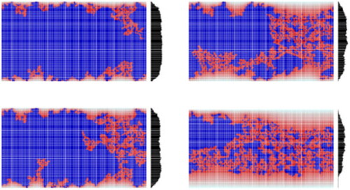 Figure 10. Example of MC profiles simulated with the percolation model.[Citation75] Drying proceeds from top-left to bottom-right. Blue areas represent free water, red areas represent dried cells, and black histograms represent average MC profiles.