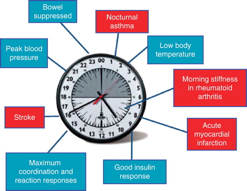 Figure 1. The circadian clock in health and disease.