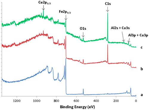 Figure 8. XPS survey data recorded on the transversal cross section of the sandwich, on the steel substrate (spectrum a), the bound coat (spectrum b) and on the quasicrystal layer region (spectrum c).