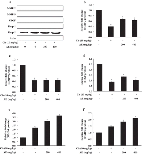 Figure 4. Effect of antler extract (AE) on angiogenesis-related gene expression in tumor tissue.Control (Con, PBS 200 μL + tumor cells); cisplatin (Cis, 10 mg/kg + tumor cells); antler extract low- and high-dose (AEL and AEH, 200 and 400 mg/kg, respectively plus tumor cells. β-actin was loading control. Blot represents mean of three individual experiments performed in triplicate. *Significant difference from the Con group shown at p < 0.05.