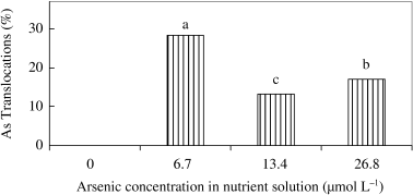 Figure 5  Effect of As on the translocation (%) of As from roots to shoots of rice seedlings. Bars with different letters are significantly different (P < 0.05) according to a Ryan–Einot–Gabriel–Welsch multiple range test.