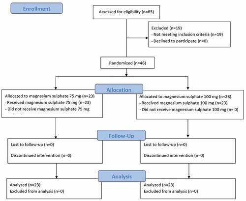 Figure 1. The trial flow diagram.