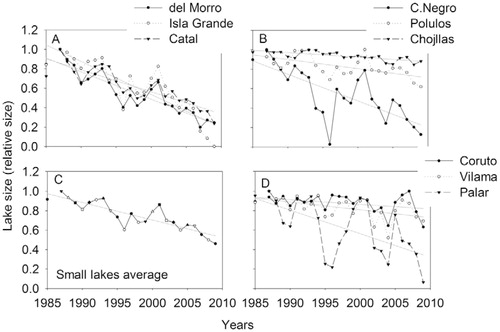 FIGURE 2. Trends in lake size, relative to maximum, for the 1985–2009 period. (A, B) Different groups of smaller lakes, (C) average of the six smaller lakes, and (D) larger lakes. Gray lines represent the linear regression.