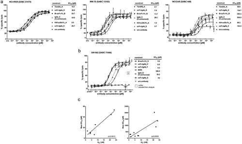 Figure 9. In vitro cytotoxicity of enriched primary human NK cells in the presence of several ROCK® antibodies toward cell lines expressing their corresponding tumor target. (a) Representative sigmoidal dose-response curves of the indicated BCMA-targeting ROCK® antibodies in 4 h calcein-release cytotoxicity assays with NK cells and target cell lines expressing differential levels of BCMA as indicated by the SABC values (mean of ≥3 assays) at an E:T ratio of 5:1. (b) Representative sigmoidal dose-response curves of the indicated EGFR-targeting ROCK® antibodies, comparators, or monovalently binding controls in 4 h calcein-release cytotoxicity assays with NK cells and SW-982 target cells at an E:T ratio of 5:1. (c) Correlation of ROCK® antibodies regarding NK cell-binding affinity and cytotoxic potency toward tumor target cells in vitro. Apparent affinities (KD) of ROCK® antibody formats on primary human NK cells are shown. EC50 values of the same ROCK® antibodies were determined in 3 h calcein-release cytotoxicity measurements with NK cells and BCMA-expressing RPMI-8226 target cells at an E:T ratio of 2:1 (left) or in 4 h calcein-release cytotoxicity assays with NK cells and BCMA-expressing NCI-H929 target cells at an E:T ratio of 5:1 (right). SABC, specific antibody-binding capacity.