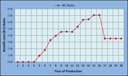 Figure 5. Benefit-cost (B:C) ratio calculated for 20 years of productive fruiting period of apple in Darchula, 2022.