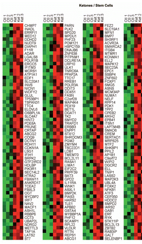 Figure 2 HeatMaps for the intersection between MCF7 ketone-induced genes and transcripts that are highly expressed in hematopoietic stem cells. Note that these two gene sets have 311 intersecting genes in common. See Supplemental Table 5 for a detailed list.