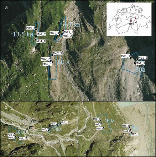 Figure 1. Location of (A) the Griess Glacier foreland (46°50′ N, 8°49′ E) and (B), (C) the lower and upper parts of the Stein Glacier foreland (47°43′ N, 8°25′ E). The terrain age of the moraines is given in years (a) and thousands of years (ka). Inset in (A) Switzerland with locations of both study sites. Satellite images: Google Maps, 2020, https://google.de/maps/place/Schweiz/@46.6192509,7.4679619.