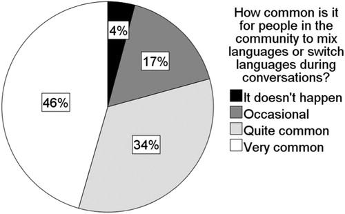 Figure 5. Translanguaging in the community. Note: Percentages may not add up to 100% because of rounding.