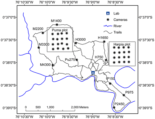 Figure 1. Camera locations on station trails and on 100-ha study plots at TBS, Ecuador.