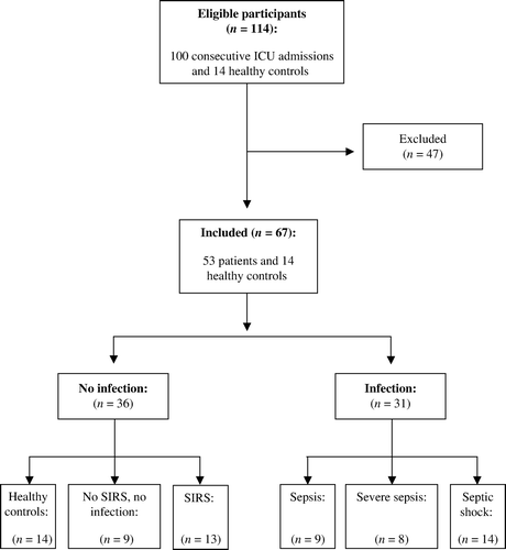 Figure 1.  Flow chart of the study. A total of 100 consecutive intensive care unit (ICU) admissions over a 2-month period were screened and 14 healthy controls from our medical staff were also analyzed. Patients were excluded who had former chronic renal, hepatic, or cardiac failures, if they were undergoing treatment with steroids or proton pump inhibitors and if they had a medical history with neuroendocrine tumors. Finally, patients with recent multiple stress or a surgical intervention were also excluded.