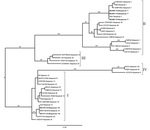 Fig. 2 Maximum likelihood phylogenetic tree based on the partial (750-bp) endoglucanase gene sequences of five Ralstonia solanacearum species complex from Louisiana (MLI71-15, MLI75-15, MLI85-15, MLI86-15 and MLI87-15 shown in bold text) and 36 reference strains previously deposited in GenBank. Bootstrap support values ≥70 are shown above the branches. The scale bar represents an estimated three nucleotide substitutions per 100 nucleotides. The midpoint of the path between the two most distant taxa on the tree was used to root the phylogeny. Strains within each of the four phylotypes (I, II, II and IV) are shown in brackets. <>