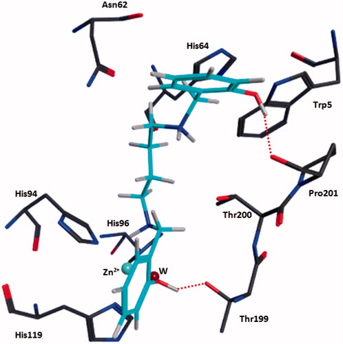 Figure 1. A representative docked pose of compound 3B (turquoise) within the active site of hCA XII. One of the ligand’s hydroxyl group is located at the position of the zinc-bound water molecule and interacts both with Zn2+ as well as the side chain of Thr199. The other hydroxyl group of the ligand forms hydrogen bonds (red-dotted lines) with the backbone carbonyl group of Pro201 while the phenyl group forms hydrophobic interactions with Trp5.