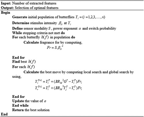 Figure 2. Pseudo-code for BM-BOA algorithm.