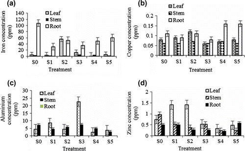 Figure 5.  Iron (a), Copper (b), Aluminium (c) and Zinc (d) accumulation in different parts of Justicia gendarussa as influenced by different treatments. Growth media indicates different proportion of textile sludge and soil such as S0 = 100% soil, S1 = 100% textile factory sludge, S2 = 80% textile factory sludge + 20% soil, S3 = 60% textile factory sludge + 40% soil, S4 = 40% textile factory sludge + 60% soil and S5 = 20% textile factory sludge + 80% soil. Means ± SE are shown in error bars (p = 0.05).