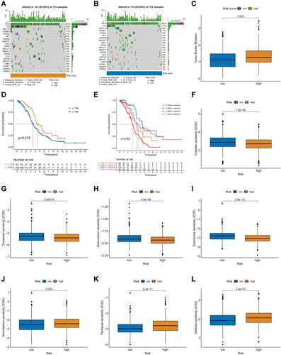 Figure 7 Comparison of the mutation and drug susceptibility between the two risk groups of ovarian cancer. (A and B) Waterfall plot of somatic mutation features in the high-risk (A) and low-risk (B) groups. Each column represents an individual patient. The mutation frequency is listed in the upper bar chart, and the proportion of each mutation type is shown in the bar graph on the right. (C) Difference in TMB levels between the high- and low-risk groups. (D) Survival analysis between the high- and low-TMB groups. (E) Survival analysis among patients stratified by risk score and TMB. (F–L) The IC50 values of seven chemotherapy drugs between the high- and low-risk groups. Cisplatin (F), docetaxel (G), doxorubicin (H), elesclomol (I), gemcitabine (J), paclitaxel (K), and gefitinib (L).