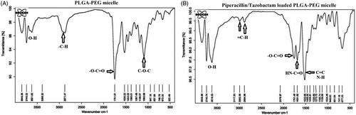 Figure 3. Frontier Transformed Infrared Resonance spectra of the Polylactide-Glycolic acid-polyethylene glycol (PLGA-PEG) micelle (A) and Piperacillin/Tazobactam loaded PLGA-PEG micelle (B).