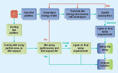 Figure 5. Decision flow for biomarker method establishment and sample analysis.BM: Biomarker.