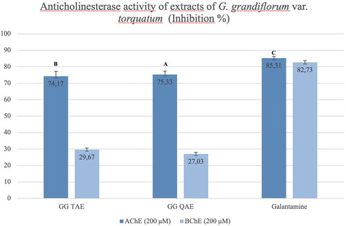 Figure 7. Anticholinesterase activity results of the G. grandiflorum subsp. refractum var. torquatum (Aslan Citation2012) extracts. GG TAE: Tertiary amine extract; GG QAE: Quaternary amine extract. Test results for each extract shown with superscript capital letters (A–E) indicate significant differences (p<0.05) according to the Fisher test.
