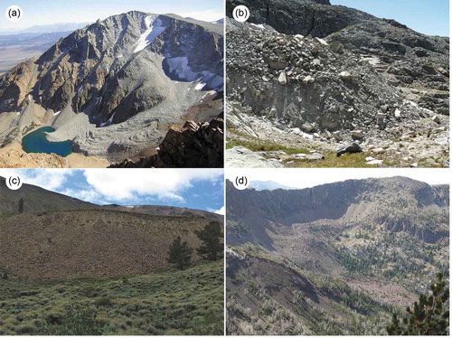 Figure 3. Examples of condition types estimated for features mapped in the Great Basin. (a) Active (A1), Mt. Gibbs, Sierra Nevada, California; (b) active front (A1), Mammoth Crest, Sierra Nevada, California; (c) likely active (A2), Moores Canyon, Toquima Range, Nevada; (d) relict (R), Cougar Peak, Jarbidge Range, Nevada.
