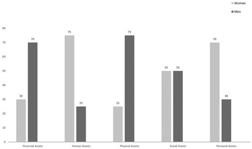 Figure 2. Graph showing assets distribution.