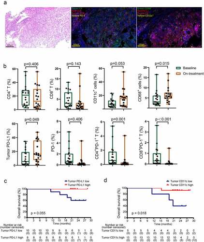 Figure 3. Tumor biomarkers associated with survival