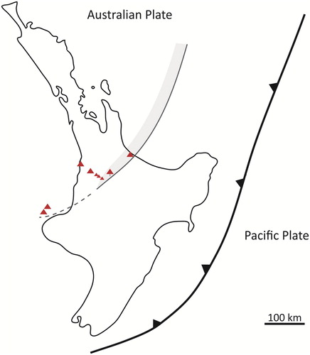 Figure 14. Schematic map showing the estimated position of the volcanic arc at c. 2 Ma and its propagation through the western North Island to include Maungatautari. Active volcanic centres are shown by red triangles. The continuation of the arc to include the western Taranaki Graben Volcanoes (dashed line) remains speculative.