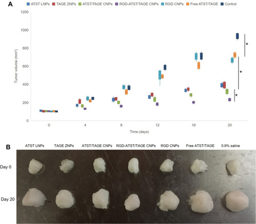 Figure 7 In vivo anti-tumor efficacy of the nano-systems was evaluated by measured and plotted the curve of tumor volume (A) and the tumor images (B) after treatment. * P<0.05.