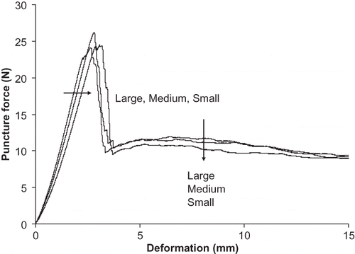 Figure 4 Average force-deformation curve of the puncture test of mangoes at different sizes. (Number of samples = 20, 20 and 20 fruit for large, medium and small sizes, respectively.)