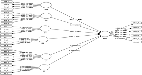 Figure 2. The relationship between Boe, Bot, Bre, Brt, Lie, Lit, and happiness in youth.