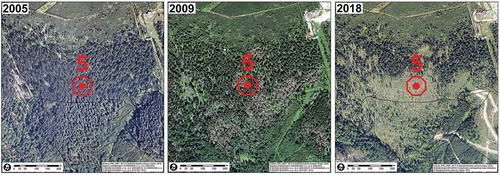 Figure 19. Aerial photographs of the locality 5 from years 2005, 2009 and 2018 (source: NAPANT, own creation)