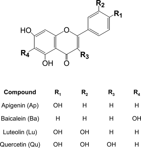 Figure 1.  Structures of flavonoids.