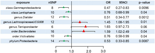 Figure 2. Forest plot of IVW analysis results of the effect of GM on DN. CI: confidence interval; OR, odds ratio; SNP: single nucleotide polymorphism.