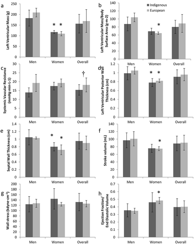 Figure 1. Left ventricular mass (a), left ventricular mass indexed to body surface area (b), systemic vascular resistance (c), left ventricular posterior wall thickness (d), septal wall thickness (e), stroke volume (f), wall stress (g) and ejection fraction:end diastolic volume rate (h) among Indigenous and European adults.*Indicates significant difference from men of same ethnicity; †indicates ethnic difference.