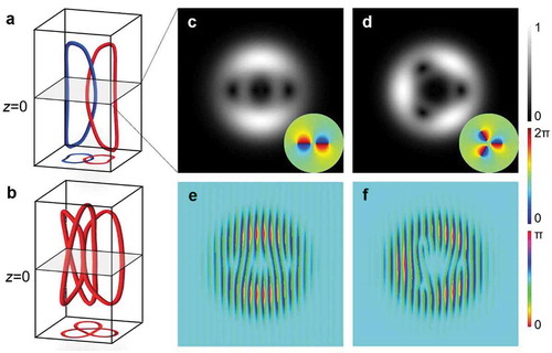 Figure 7. (a), (b) 3D views of isolated Hopf link and trefoil knot [Citation73]. (c), (d) Amplitude and phase (insets) distributions of the Hopf linked and trefoil knotted fields at the waist plane. (e), (f) Phase-only holograms generated by the inverse sinc functional phase-only encoding technique corresponding to the Hopf linked and trefoil knotted fields. Figures reproduced from ref [Citation73]., copyright 2020, Chinese physical society and IOP Publishing Ltd