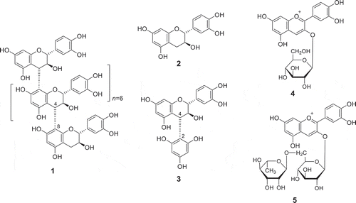 Figure 1. The structures of compounds isolated from the hulls and beards of red-kerneled rice and the proanthocyanidin degradation products.