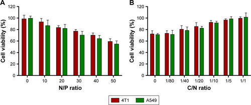 Figure S5 In vitro cytotoxicity of different formulations from CCK-8 assay (mean±SD, n=4). Cytotoxicity in 4T1 and A549 cells (A) produced by the blank PEI-PLA nanoparticles complexing with siRNANC at different N/P ratios, and (B) by PEI-PLA/siRNANC coating with different C/N ratios of PEG-PAsp (N/P=30).Abbreviations: PEI-PLA, polyethyleneimine-block-polylactic acid; PEG-PAsp, poly(ethylene glycol)-block-poly(L-aspartic acid sodium salt).