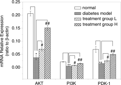 Fig. 4 Effect of GD on AKT, PI3K and PDK-1 mRNA expressions in pancreatic tissues of diabetic mice. The mRNA relative expressions of AKT, PI3K, and PDK-1 were tested using qPCR. Treatment group L: 1.2% GD-treated diabetic group; treatment group H: 4.8% GD-treated diabetic group. Data are mean±SD. *p<0.05 and **p<0.01, respectively, versus the normal group; # p<0.05 and ## p<0.01, respectively, versus the diabetic model group.