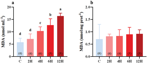 Figure 3. Effect of acute heat stress on the content of serum (A), and liver (B), MDA levels in Eurasian tree sparrows. The number in brackets within each bar represents the animal number. Data are shown as mean ± SE. Bars with different superscript letters indicate significant differences.