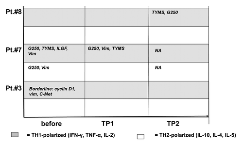 Figure 4. Cytometric bead array in immunized patients before and during vaccination. PBMC from patients before vaccination and at different time points during vaccination were stimulated with different tumor-associated peptides (survivin, vimentin, ADFP, TYMS, cyclin D1, c-Met and G250). Peptide-specific cytokine secretion was measured by CBA. The TH-polarization (TH1 vs. TH2) of the cytokine profile is indicated for each time point and for each peptide. Grey field = TH1 profile, white field = TH2 profile. Borderline = did not meet predefined criteria for a peptide-specific response. NA, not available; TP, time point.