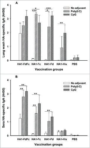 Figure 5. Detection of IgA antibody responses by ELISA in mice immunized with HA1 fusion proteins plus Poly(I:C) or CpG adjuvant. PBS with or without adjuvants was used as the negative control. The ability of IgA to bind H5N1 HA1 protein was detected using mouse lung wash (A) and sera (B) from 10 days post-last vaccination. The data are presented as A450 ± SD of 4 mice per group. The *, ** and *** indicate the significant difference with P < 0.05, 0.01 and 0.001, respectively, between the groups with or without adjuvants.
