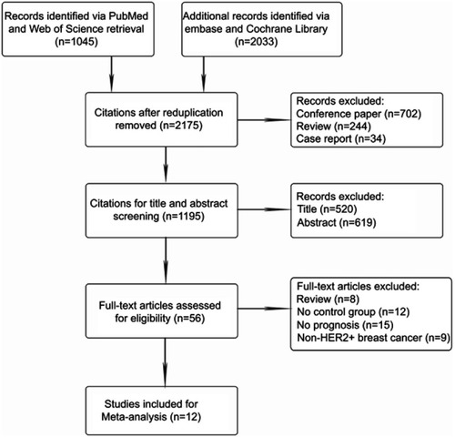 Figure 1 The study selection procedure.Abbreviation: HER2, human epidermal growth factor receptor 2.