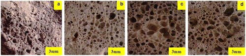 Figure 7. Image aspects of the porous glass–ceramic structures containing 20% RHs and sintered at various temperatures (a) 900 °C, (b) 975 °C, (c) 1000 °C and (d) 1000 °C at 6% RH.