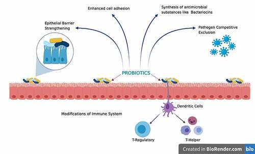 Figure 4. Key mechanisms of action of probiotics leading to various health benefits [Modified and adapted from [Citation87]]