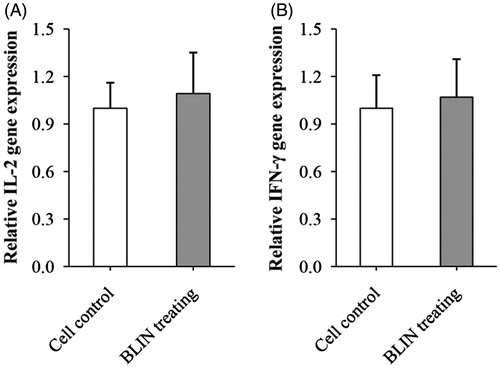 Figure 4. Influence of BLIN on the expression of IL-2 and IFN-γ mRNA. BLIN at 5 μg/mL was used to treat the B lymphocyte for 48 h. Then, the expression of IL-2 and IFN-γ mRNA was detected by qRT-PCR.